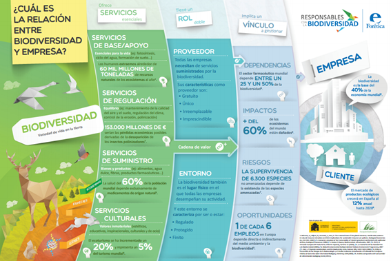 Relación entre biodiversidad y empresa